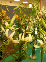 Foto: Dr. Peter Müller